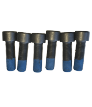 Screw sets and bolts for elastic couplings 