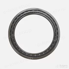 Roller Bearing SF4852PX1