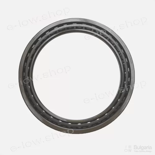 Roller Bearing SF4852PX1