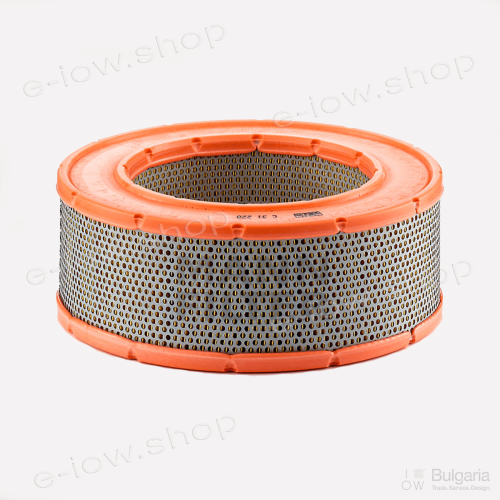 Air Filter C 31 220