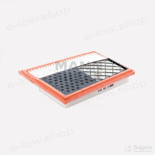 Air filter C 25 004