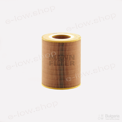 Air filter C 1381