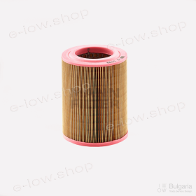 Air filter C 1430